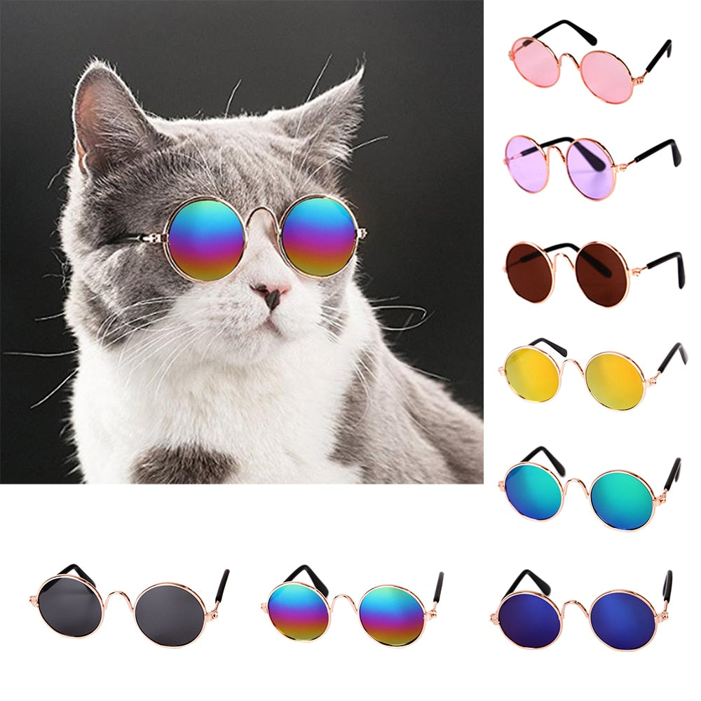 1pc Lovely Pet Cat Glasses Dog Glasses Pet Products For Little Dog Cat Eye-wear Dog Sunglasses Photos Pet Accessories #15